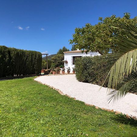 Casa La Alegria 37 Bed and Breakfast Villanueva de Tapia Eksteriør billede