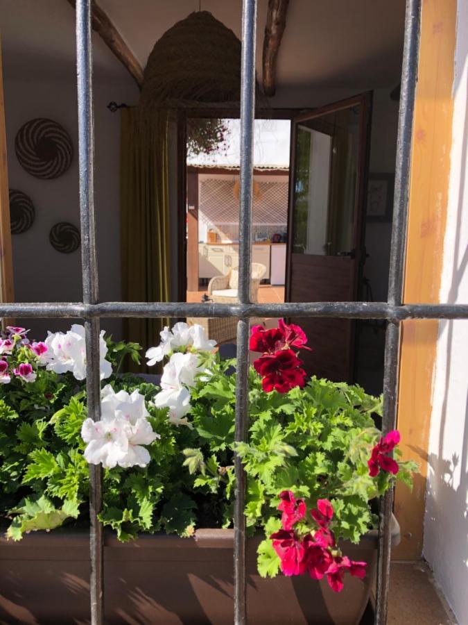 Casa La Alegria 37 Bed and Breakfast Villanueva de Tapia Eksteriør billede