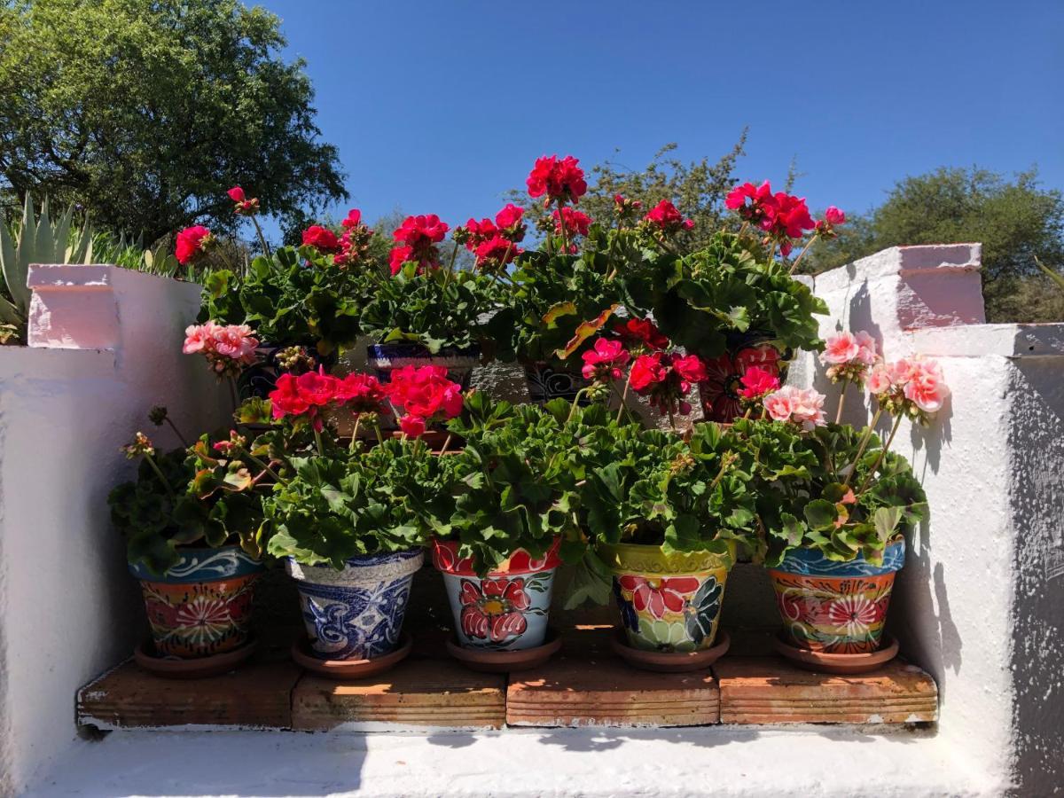 Casa La Alegria 37 Bed and Breakfast Villanueva de Tapia Eksteriør billede