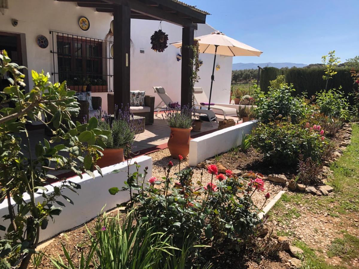 Casa La Alegria 37 Bed and Breakfast Villanueva de Tapia Eksteriør billede
